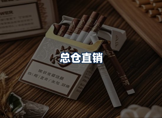 专业团队办公环境